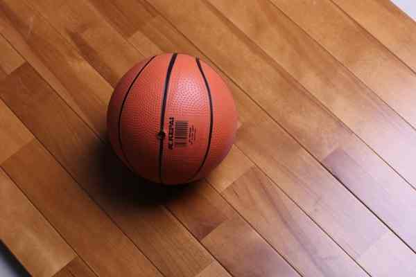 和龍運(yùn)動(dòng)木地板價(jià)格