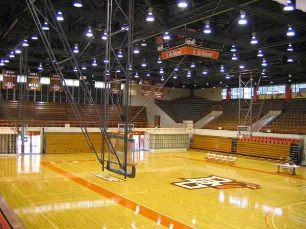 鐵力運(yùn)動木地板廠家